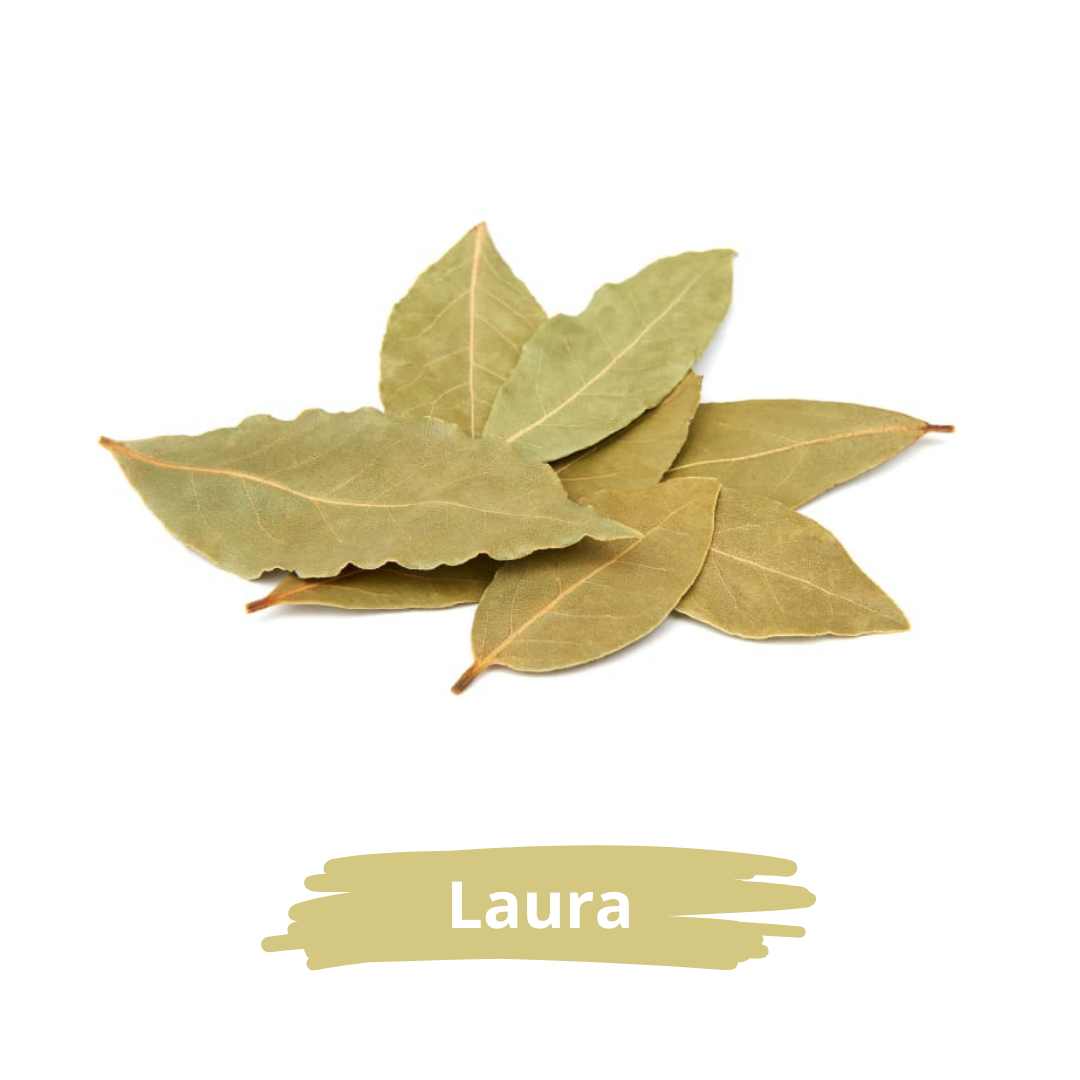 ورق اللورا (ورق الغار)