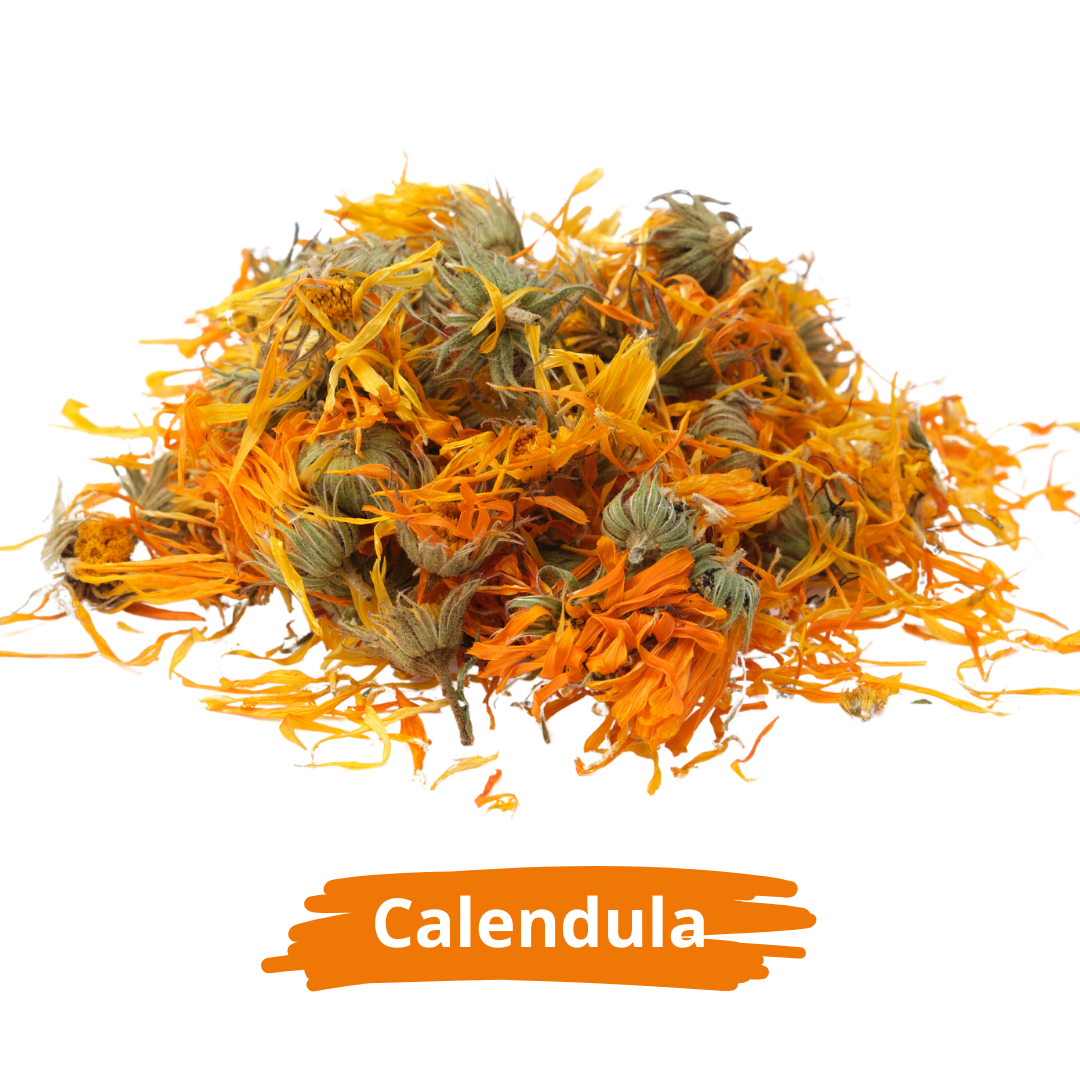 زهور الكالينديولا