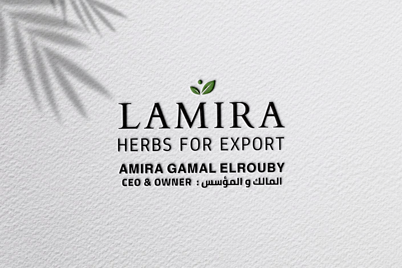 Lamira Herbs For Export | Egyptian Premium Herbs, Spices & Seeds from Egypt