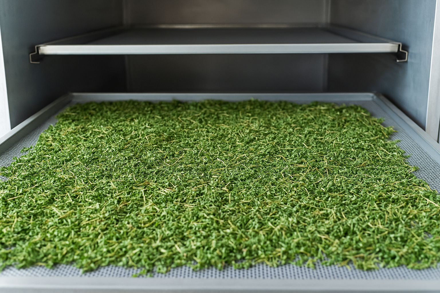 Lamira Herbs For Export | Egyptian Premium Herbs, Spices & Seeds from Egypt