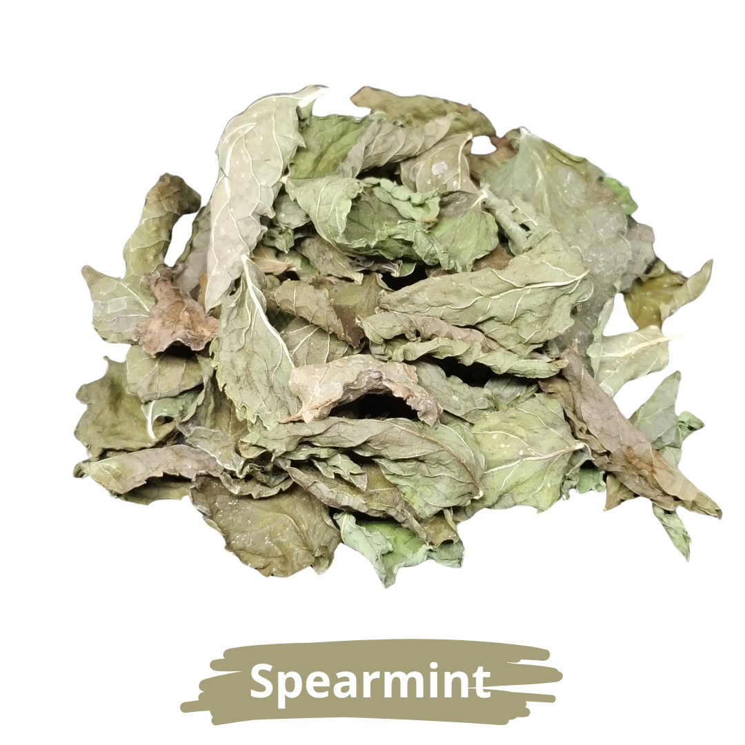 النعناع البلدي