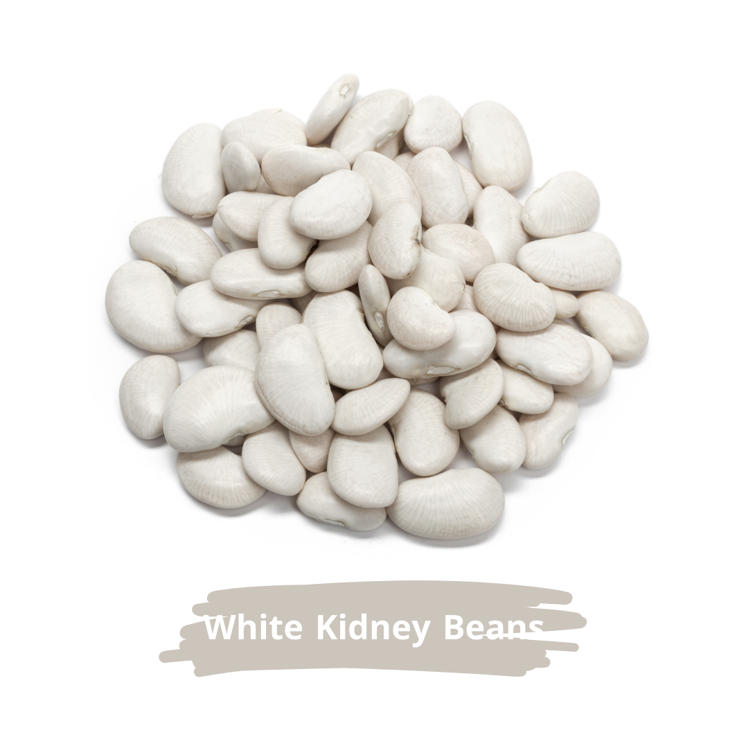 الفاصوليا البيضاء