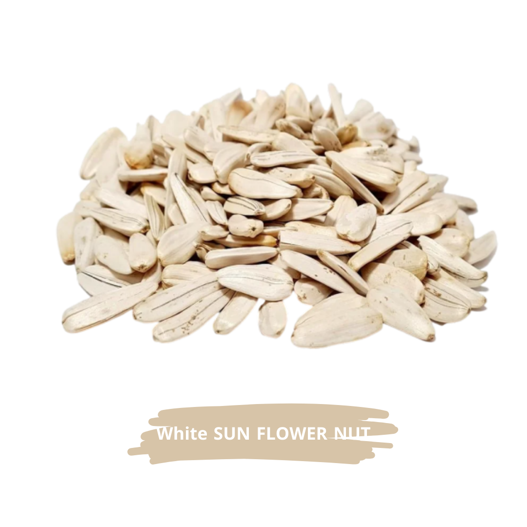 بذور دوّار الشمس البيضاء