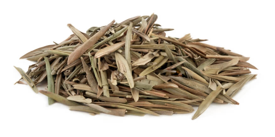 ورق الزيتون